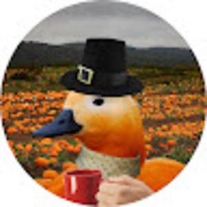 Meet your Posher, Ashton